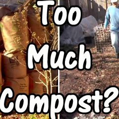 [Composting] Can You Actually Over Compost Your Garden?