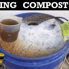 [Composting] DIY Compost Tea Recipe Process – Nutrient For Household Plants
