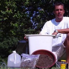 [Composting] Effective Composting Ingredient – What Is It?