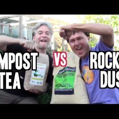 [Composting] Let’s Get Ready To Rumble – Compost Tea VS Rock Dust