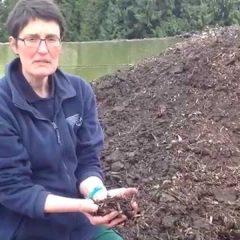 [Composting] Steps To Understanding The Home Composting Process