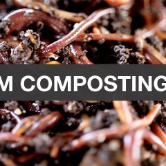 [Composting] The Organic Method – A Beginners Guide