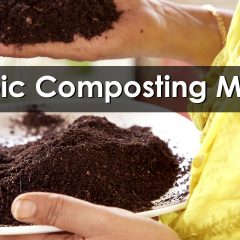 [Composting] What Is It And How To Make It Work – Aerobic Compost
