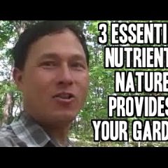 [Fertilizer] 3 Nutrients Nature Provides That Chemical Based Fertilizer Just Can’t Deliver