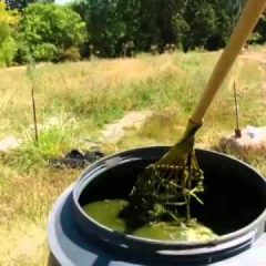 [Fertilizer] Learn How To Make Homemade Tea Liquid Fertilizer
