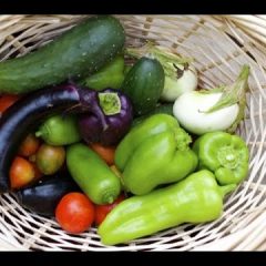 [Fertilizer] Organic Fertilizer To Grow Healthy And Large Vegetables
