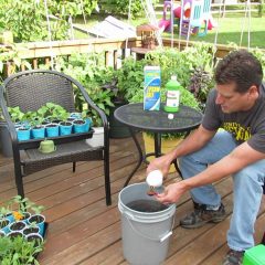 [Fertilizer] Using Water Soluable Fertilizer – Get The Scoop