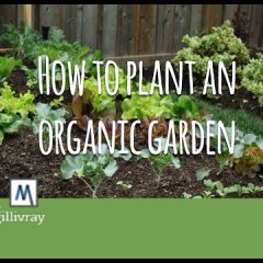 [Gardening] Advice On How To Grow A Large Organic Garden Family Style