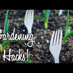 [Gardening] Garden Hacks To Save Time & Money This Garden Season