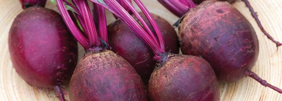 [Gardening] How To Grow Red Beets In A Container Garden