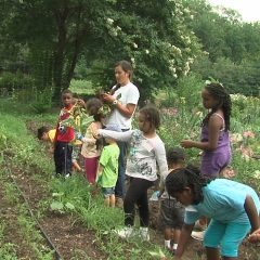 [Gardening] Involving Children In Gardening Is A Great Pastime