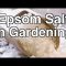 [Gardening] Organic Gardening Benefits Of Epsom Salt