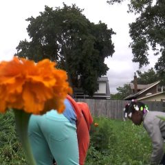 [Gardening] Youth Organizations Demonstrate The Benefits Of Community Gardens