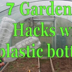 [Ideas] 7 Garden Hacks You Can Do From Recycled Plastic Bottles