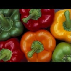 [Ideas] Colorful Peppers: Green, Yellow, Orange and Red – Who Knew?