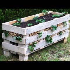 [Ideas] DIY How To Build A Cool Strawberry Planter From Recycled Wood Pallets