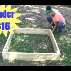 [Ideas] How To Build An Affordable Raised Bed Garden Container