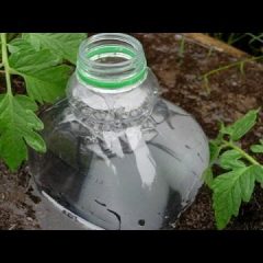 [Ideas] Learn How To Be Creative With Home Garden Self Watering Systems