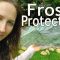[Ideas] Protect Your Garden From The Cold Winter Frost