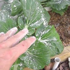 [Ideas] Take Control Of Garden Pests Before They Take Control Of Your Garden!