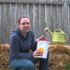 [Ideas] What Is The Secret To Straw Bale Gardening – A To Z?