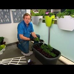 [Landscaping] DIY Space Saver Container Veggie Home Gardening